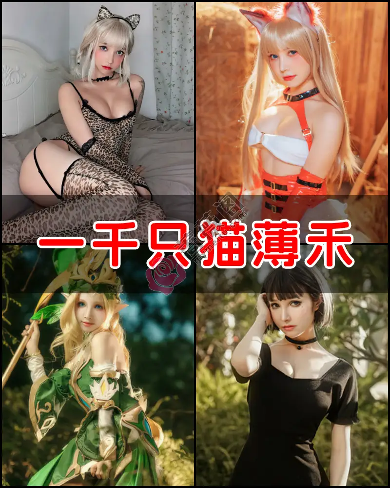 一千只猫薄禾 – 写真作品图集-蔷薇阁