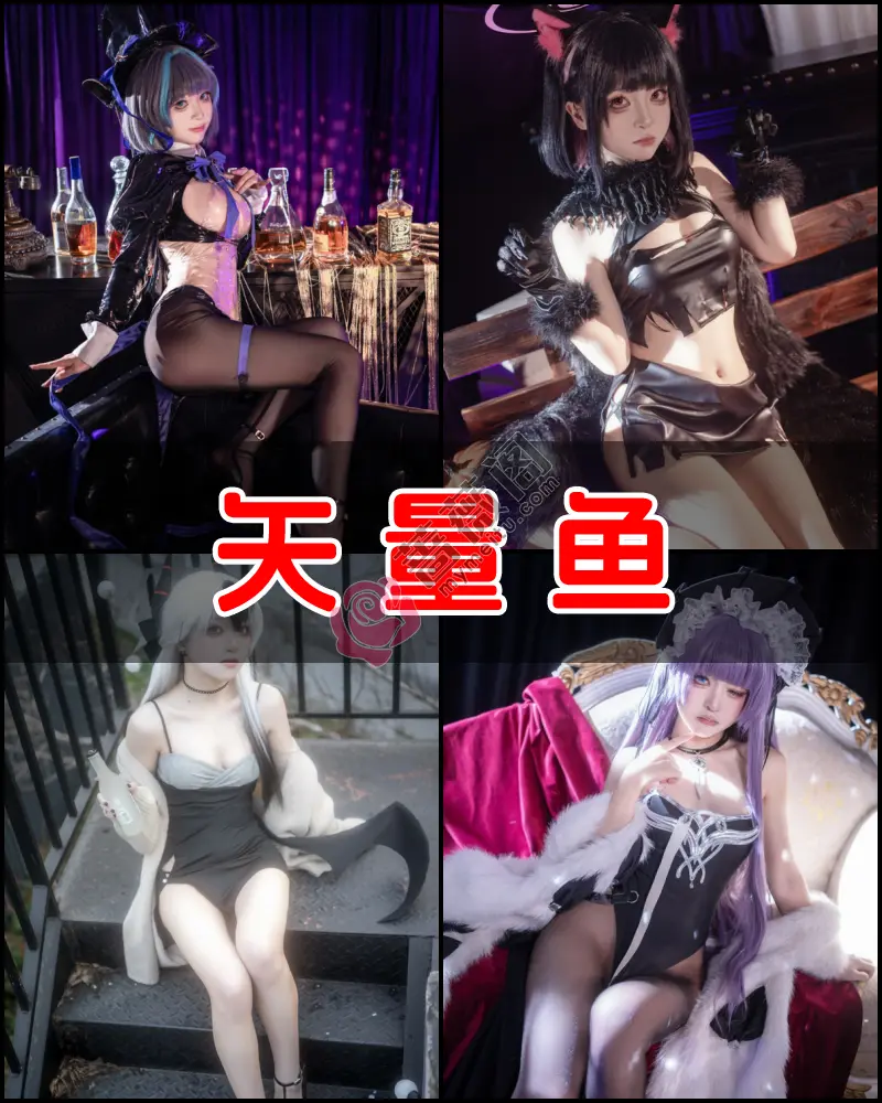 矢量鱼 – 写真作品图集-蔷薇阁