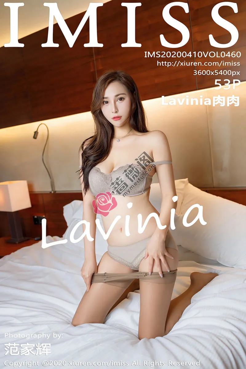 [IMiss爱蜜社] Vol.460 气质女神Lavinia私房性感内衣配肉丝裤袜半脱诱惑写真 - 蔷薇阁-蔷薇阁