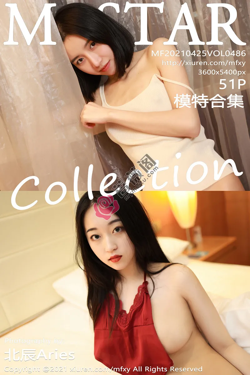 [MFStar模范学院] Vol.486 模范学院最新模特合集私房性感内衣系列秀完美身材诱惑写真-蔷薇阁