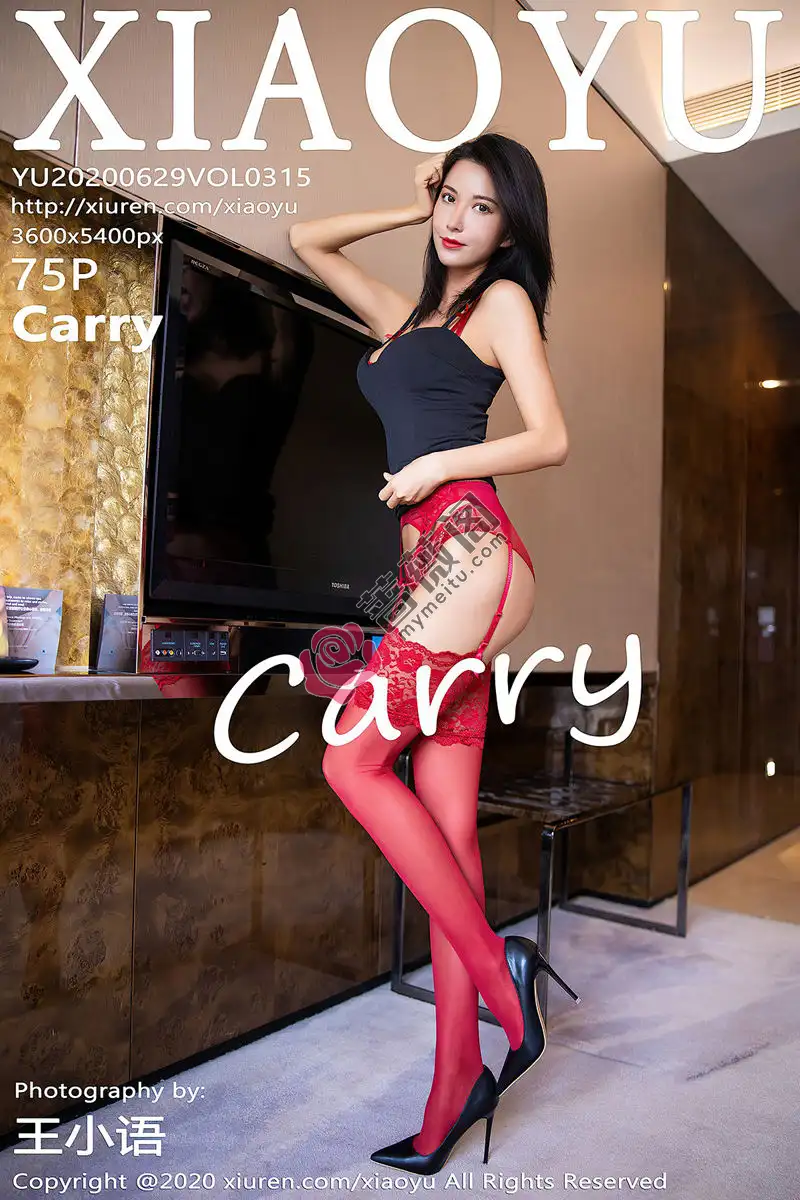 [XiaoYu语画界] Vol.315 嫩模Carry私房猩红蕾丝内衣配吊带丝袜秀完美身材诱惑写真 - 蔷薇阁-蔷薇阁