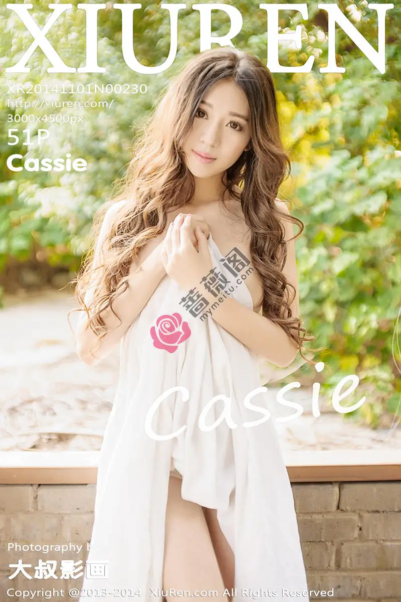 [XiuRen秀人网] No.230 嫩模Cassie性感情趣睡裙大秀完美身材火辣诱惑写真-蔷薇阁
