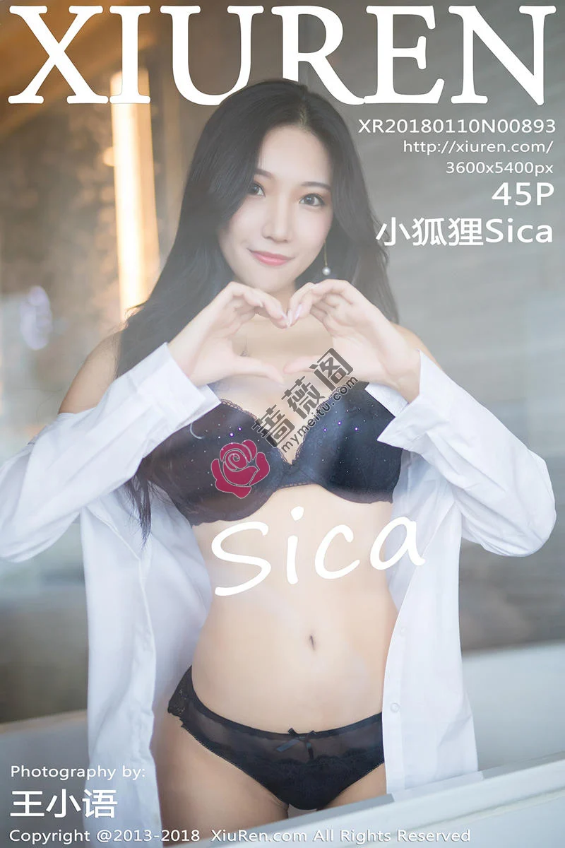 [XiuRen秀人网] No.893 嫩模小狐狸Sica性感黑色女仆装+浴室透视内衣诱惑写真 - 蔷薇阁-蔷薇阁