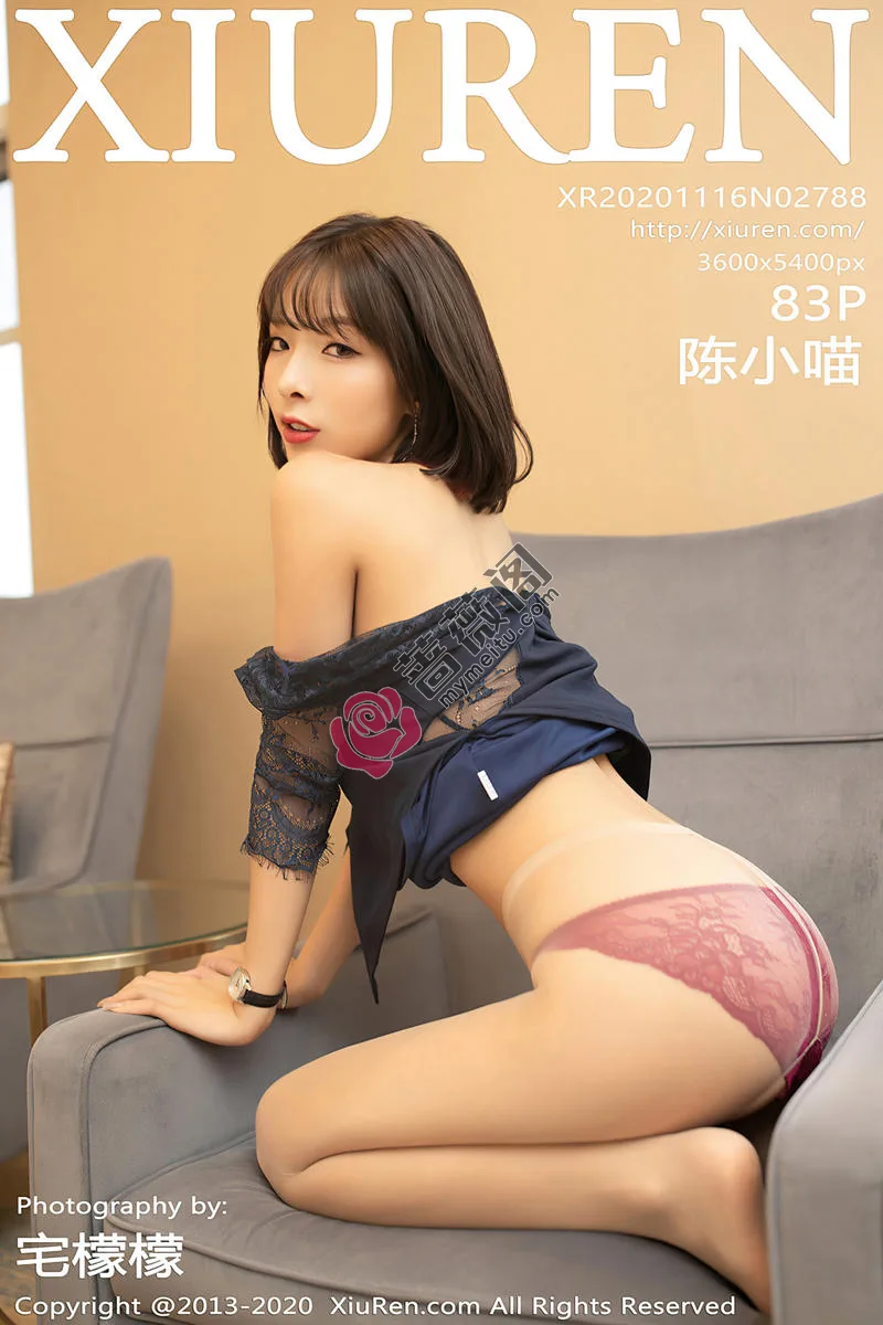 [XiuRen秀人网] No.2788 嫩模陈小喵居家女友约会日记主题肉丝裤袜秀缕空蕾丝内裤诱惑写真-蔷薇阁
