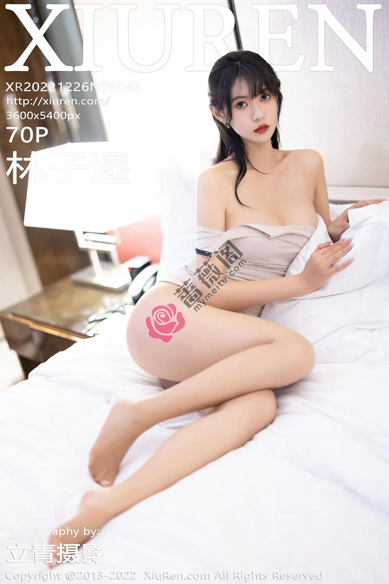 [XiuRen秀人网] No.6043 模特林子遥性感浅灰色连衣短裙配超薄肉丝秀曼妙身姿迷人写真 - 蔷薇阁-蔷薇阁