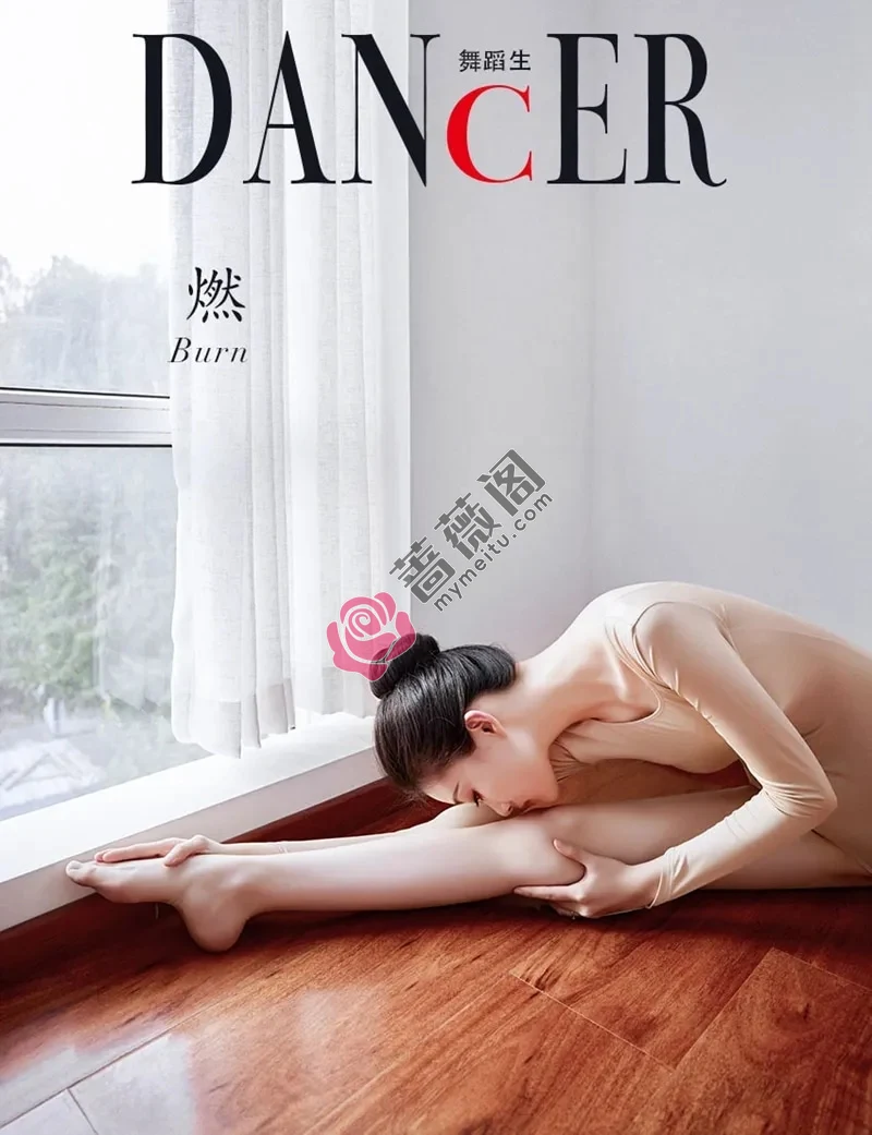 GALLI嘉丽 舞蹈生日记 2022.12.25 NO.115 燃 [27P-203MB]-蔷薇阁