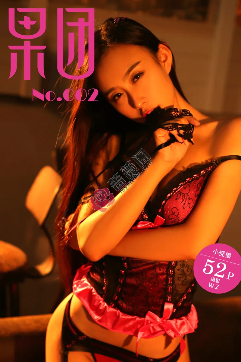 [Girlt果团网] No.002 嫩模性感小怪兽居家蕾丝情趣内衣轻舔嘴唇撩人诱惑写真-蔷薇阁