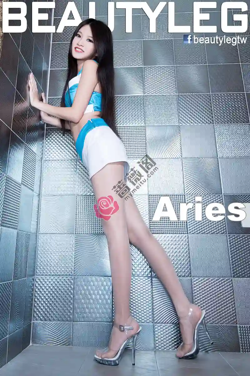 [Beautyleg腿模] 2015.03.11 NO.1106 Aries [52+1P-264MB]-蔷薇阁