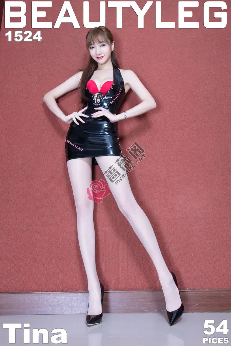 [Beautyleg腿模] 2017.11.06 NO.1524 Tina [53+1P-448MB]-蔷薇阁