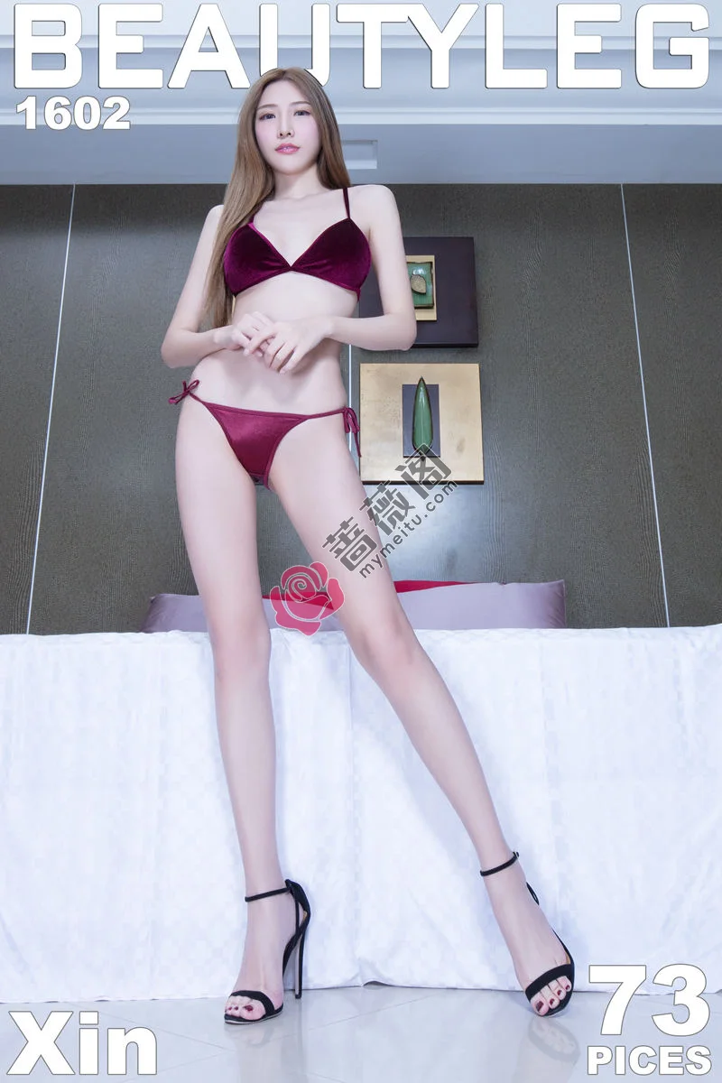 [Beautyleg腿模] 2018.05.07 NO.1602 Xin [72+1P-459MB]-蔷薇阁
