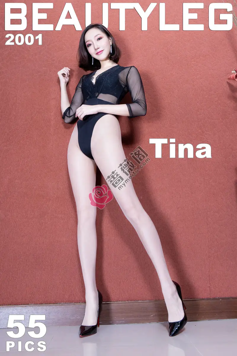 [Beautyleg腿模] 2020.11.20 NO.2001 Tina [54+1P-358MB]-蔷薇阁