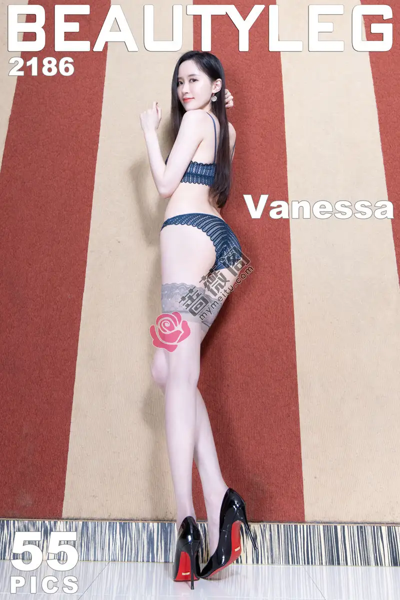 [Beautyleg腿模] 2022.06.24 NO.2186 Vanessa [54+1P-526MB]-蔷薇阁