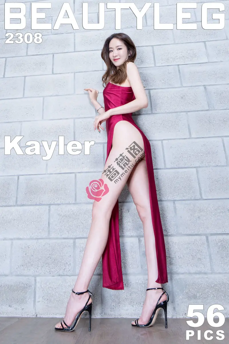 [Beautyleg腿模] 2023.08.08 NO.2308 Kaylar [55+1P-391MB]-蔷薇阁