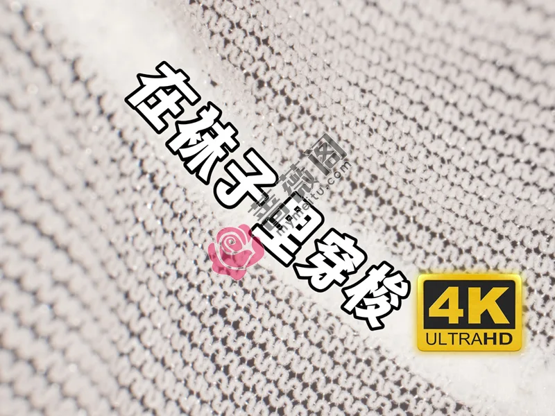 芝士好椰 NO.014 - 变小了悄悄钻进袜子里 [1V-337MB]-蔷薇阁