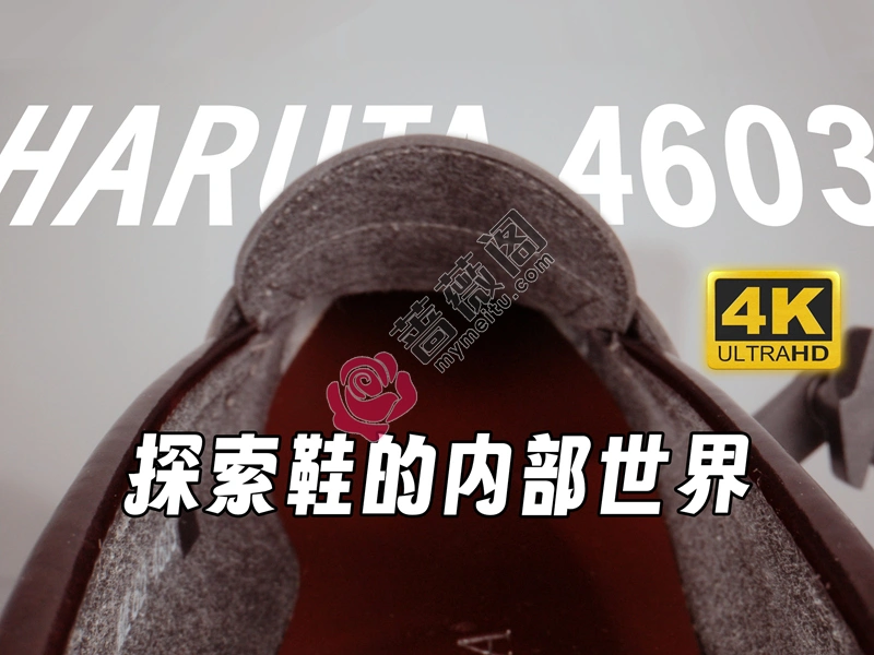 芝士好椰 NO.016 - 变小了悄悄钻进鞋子里 [2V-385MB]-蔷薇阁