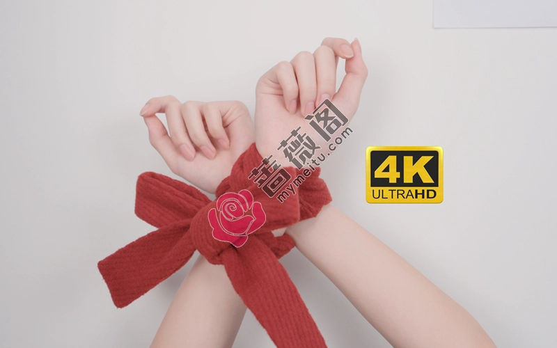 芝士好椰 NO.030 - 到底是哪些手控在看这些 [1V-22MB]-蔷薇阁