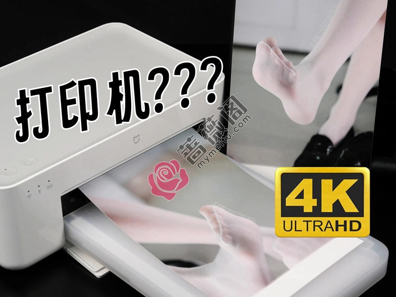 芝士好椰 NO.063 - 米家狱卒打印机 [1V-153MB]-蔷薇阁